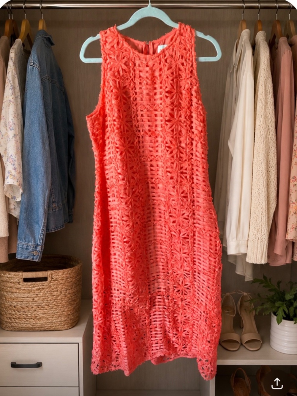 One-of-a-Kind Coral Lace Dress – Elegant, Joyful & Unforgettable - Picture 2 of 4